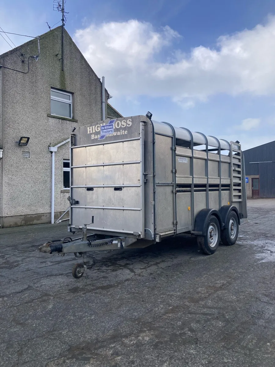 Ivor Williams cattle trailer - Image 3
