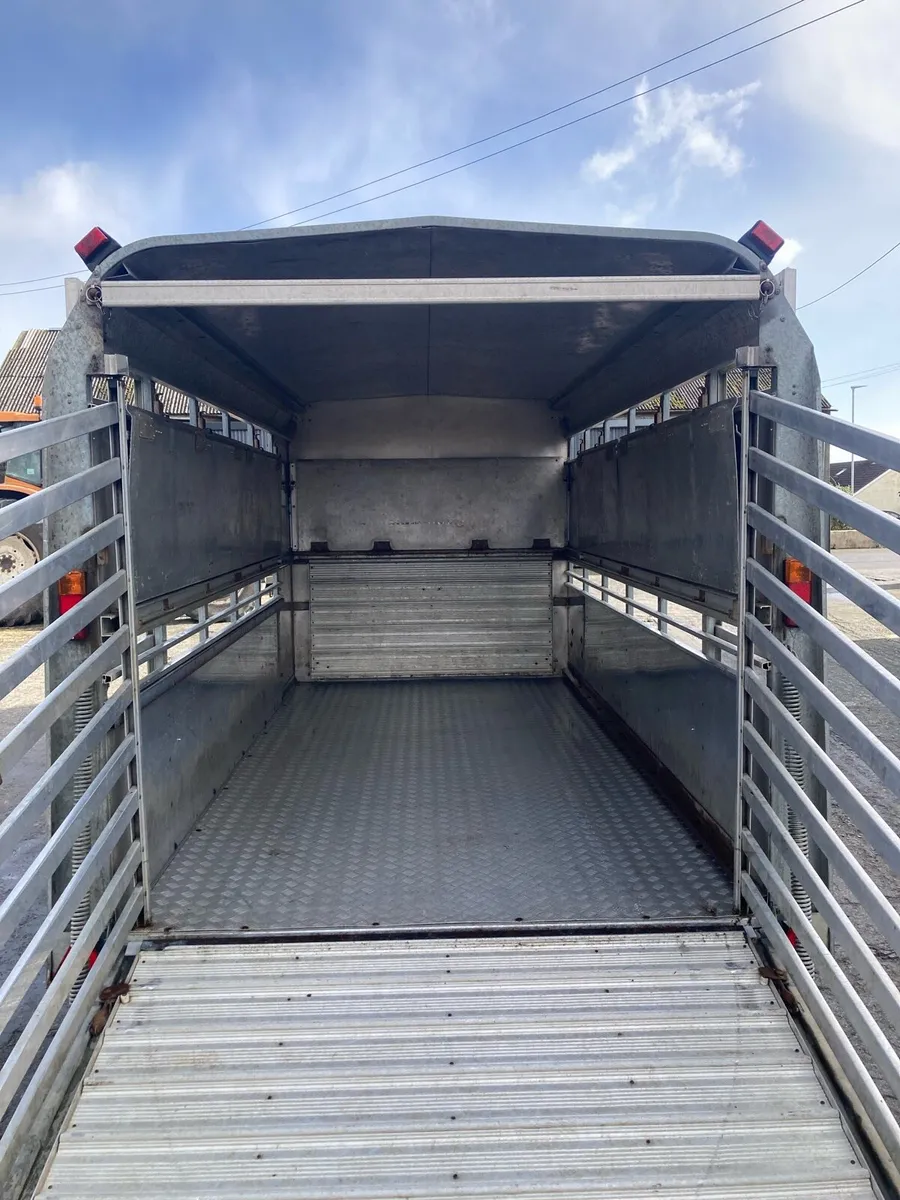 Ivor Williams cattle trailer - Image 4