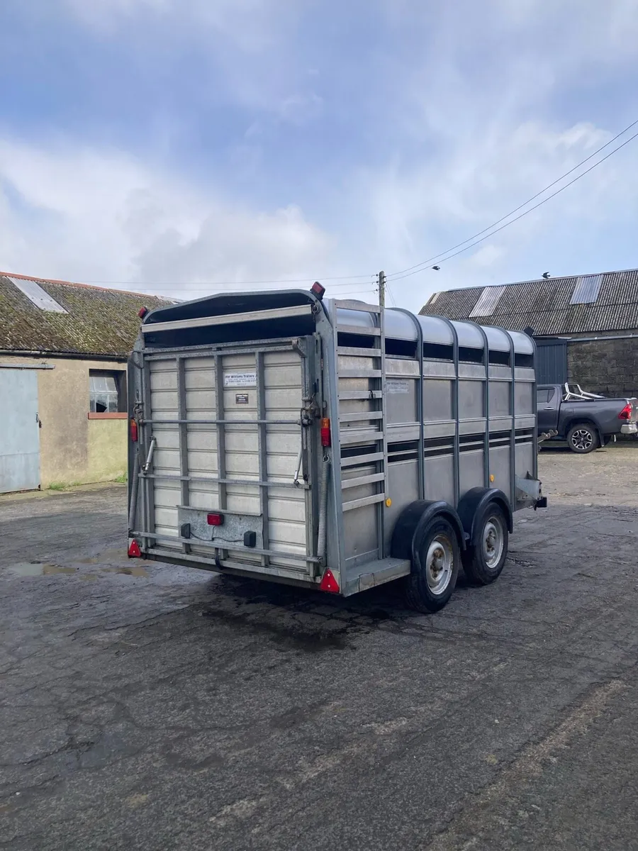 Ivor Williams cattle trailer - Image 1