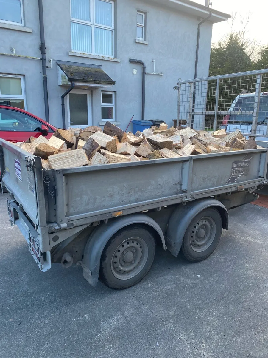 Kiln dried Firewood €230 delivered - Image 4