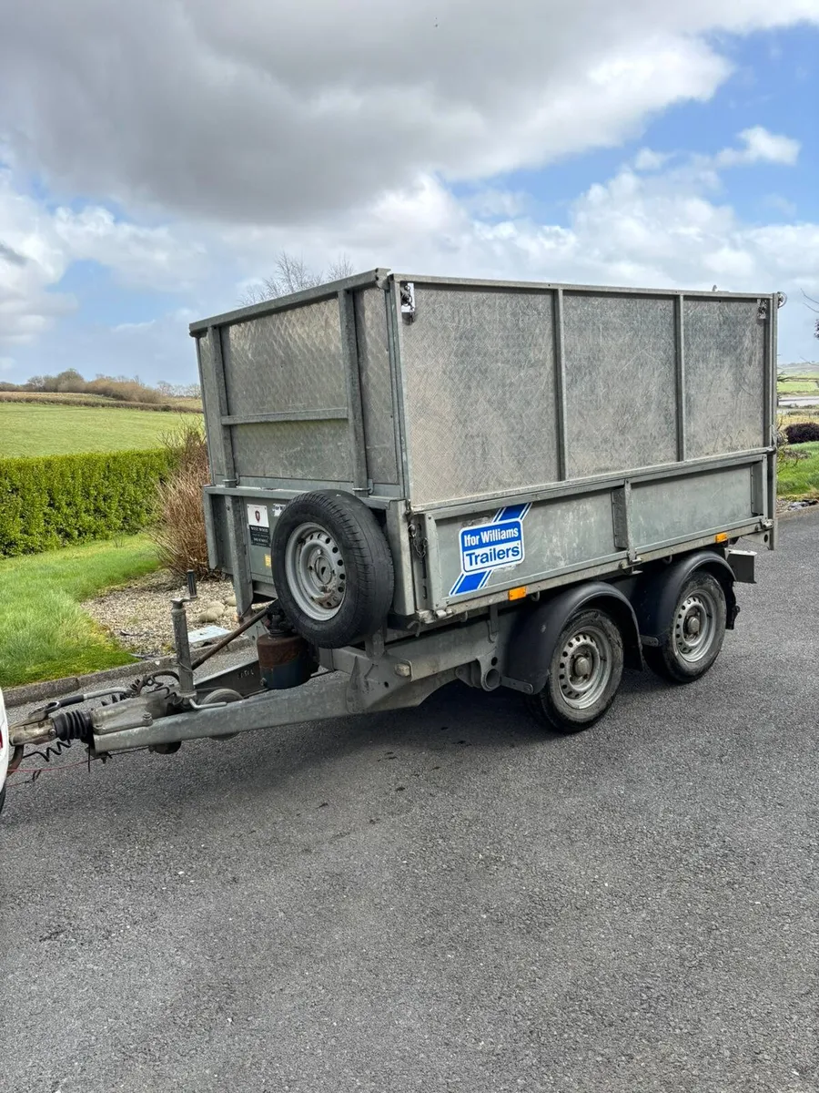 ifor Williams 8x5 tipper trailer - Image 2