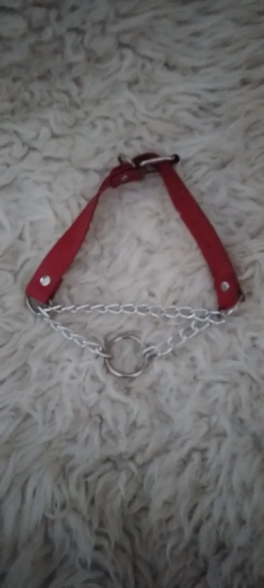 Crossdresser? Lingerie leatherlook - Image 2