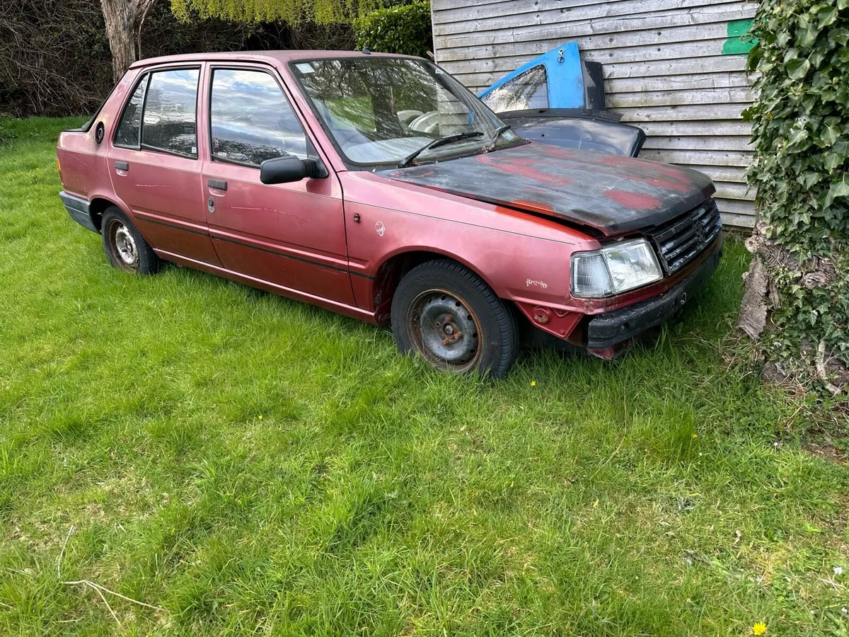 Peugeot 309 - Image 1