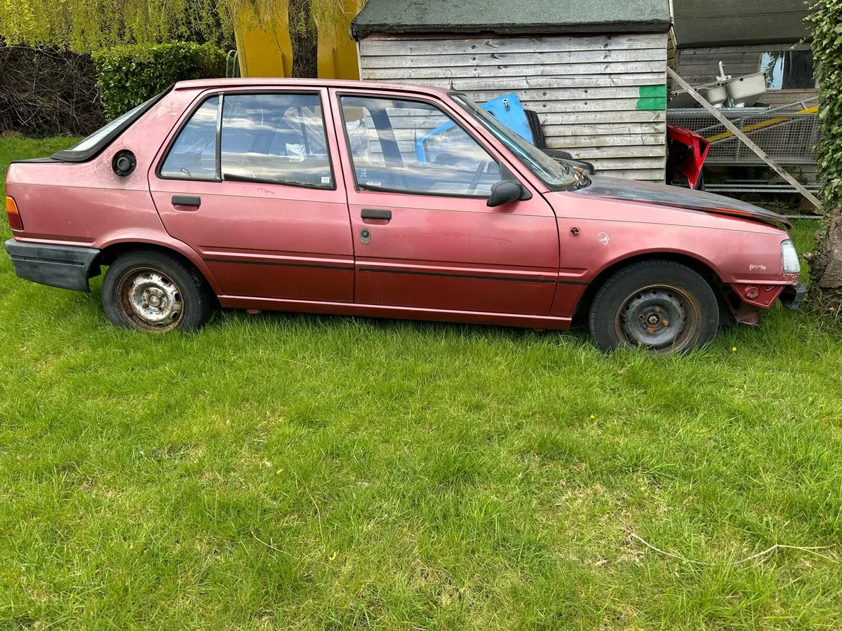 Peugeot 309 - Image 2