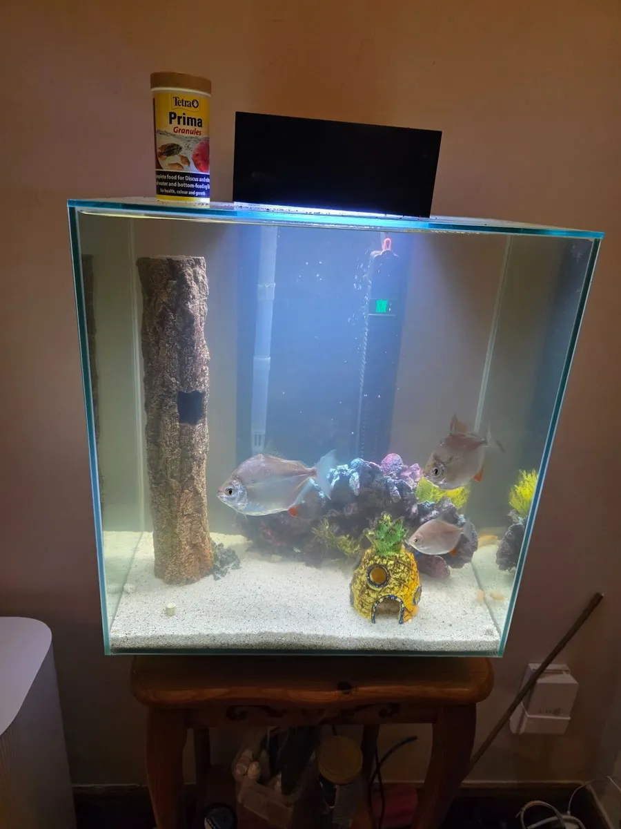 Fish tank.