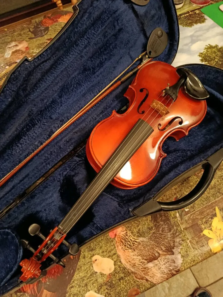 Roderich Paesold 1977 Violin 3/4 Size - Image 3