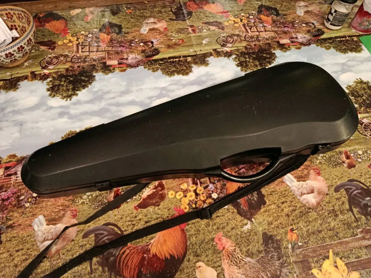 Roderich Paesold 1977 Violin 3/4 Size - Image 4