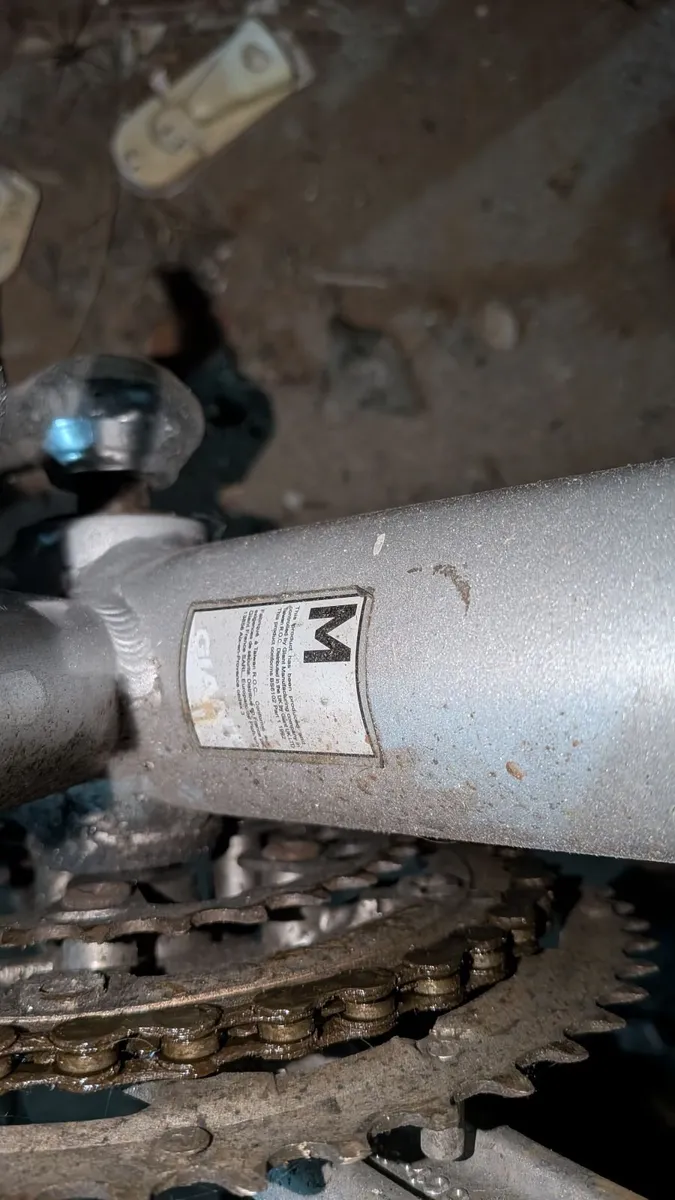 Giant Hybrid/Flat Bar Racer - Image 4