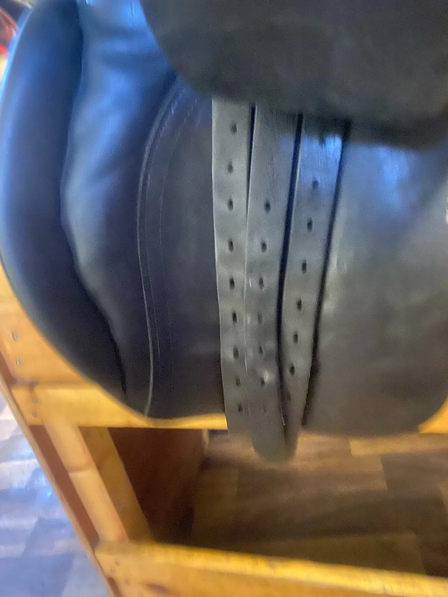 Euroriding straight cut Leather saddle - Image 3