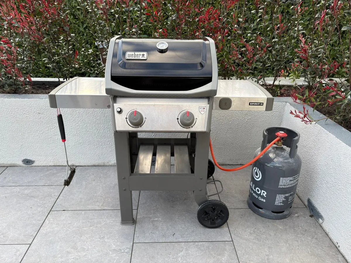 Weber BBQ - Image 1