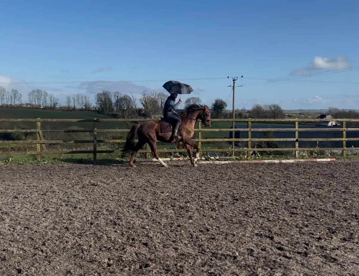 Exceptional eventing prospect - Image 2