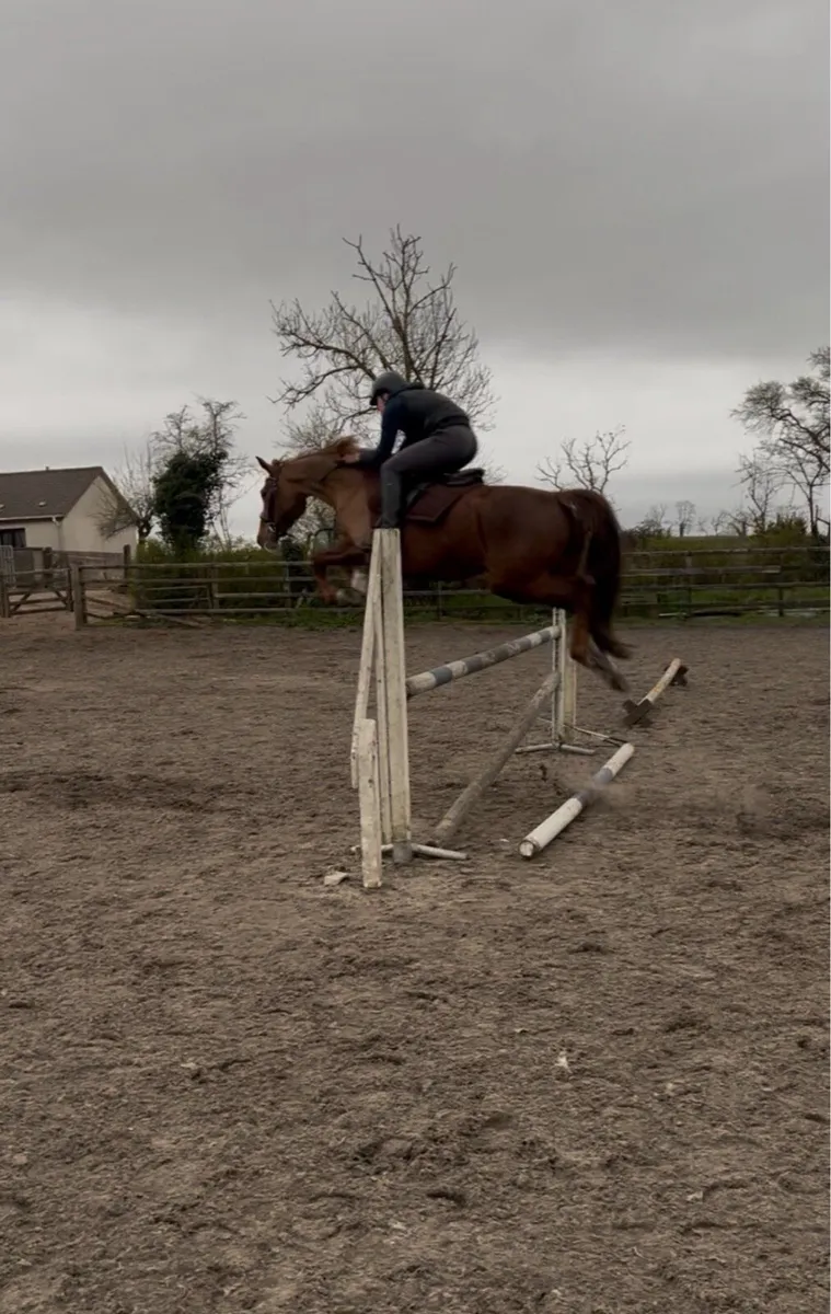 Exceptional eventing prospect - Image 3