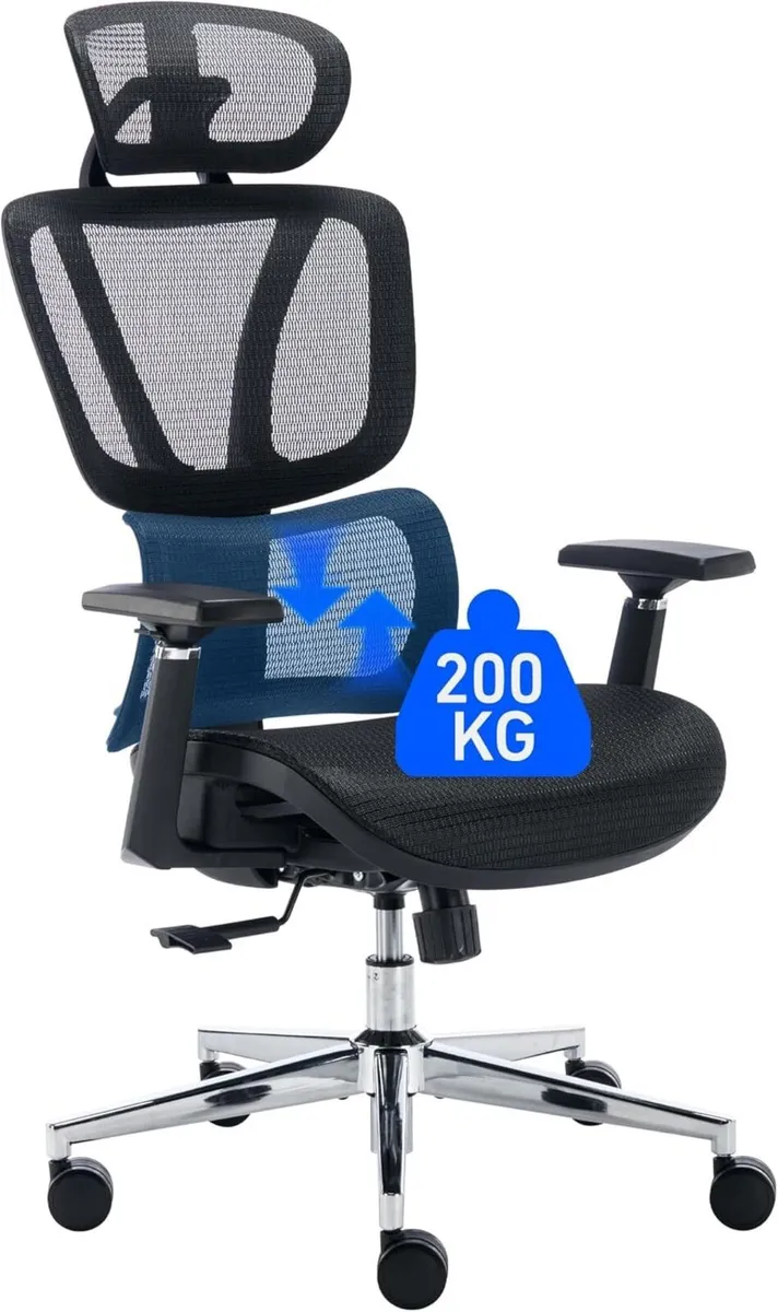Ergonomic Office Chair with Adjustable Lumbar - Image 1