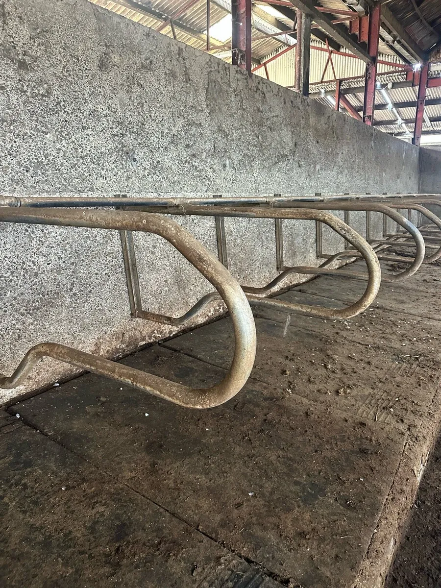 Automatic scrapers and cubicles - Image 3