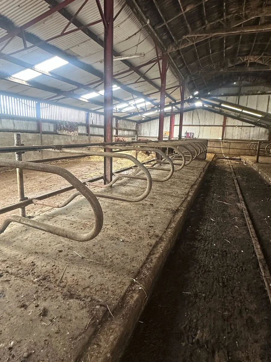 Automatic scrapers and cubicles - Image 4