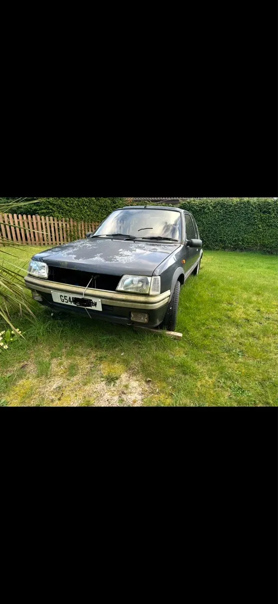 Peugeot 205 Gti  PROJECT - Image 2
