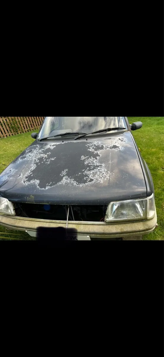 Peugeot 205 Gti  PROJECT - Image 3