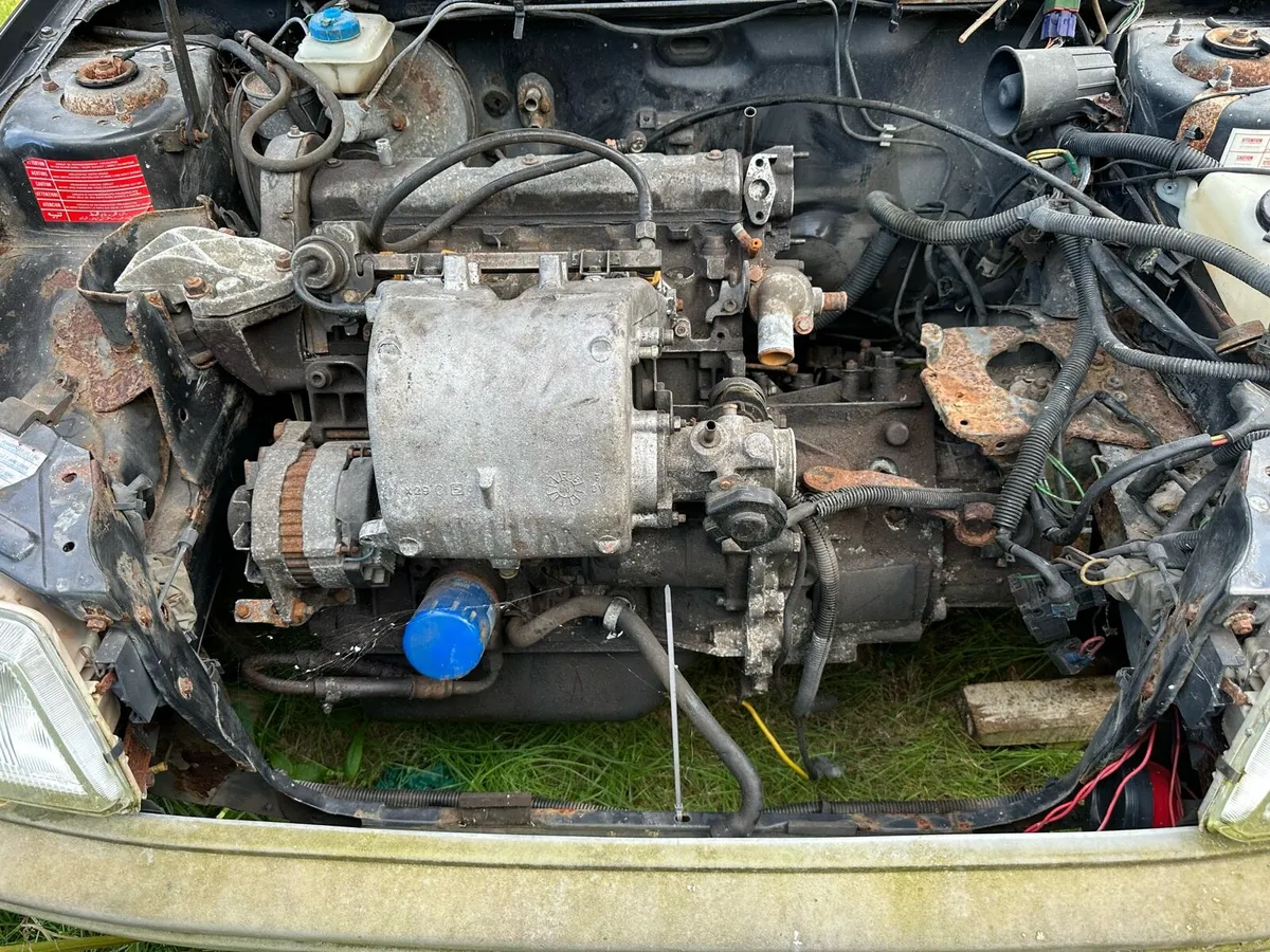 Peugeot 205 Gti  PROJECT - Image 4