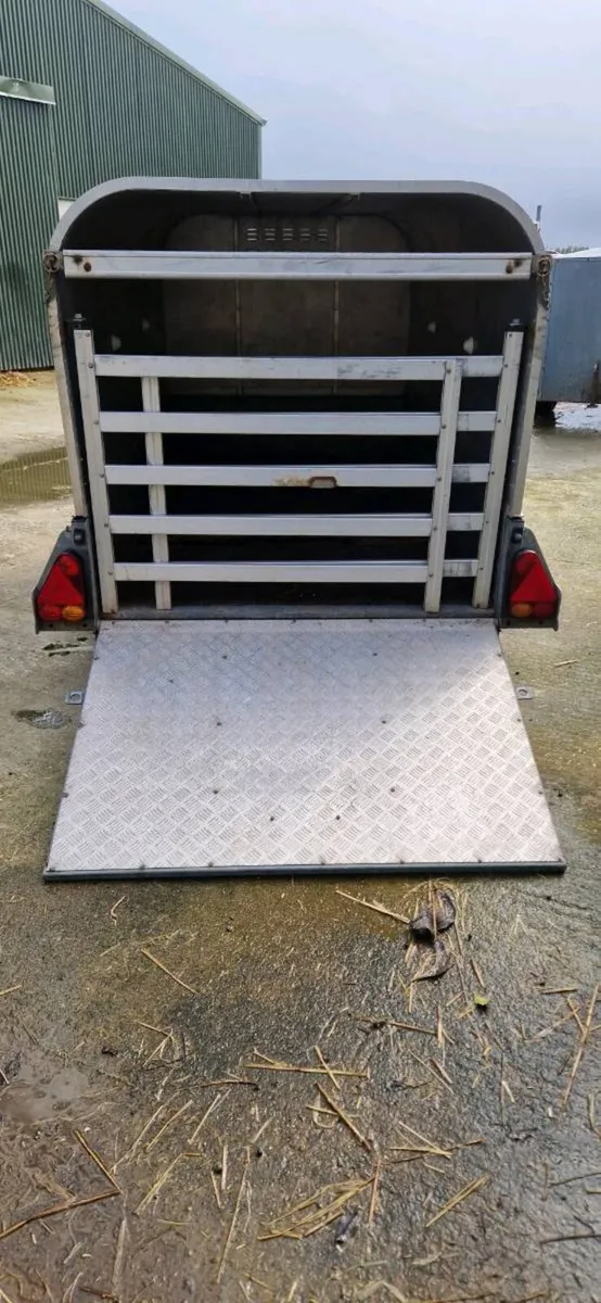 P7E Ifor Williams - Image 4