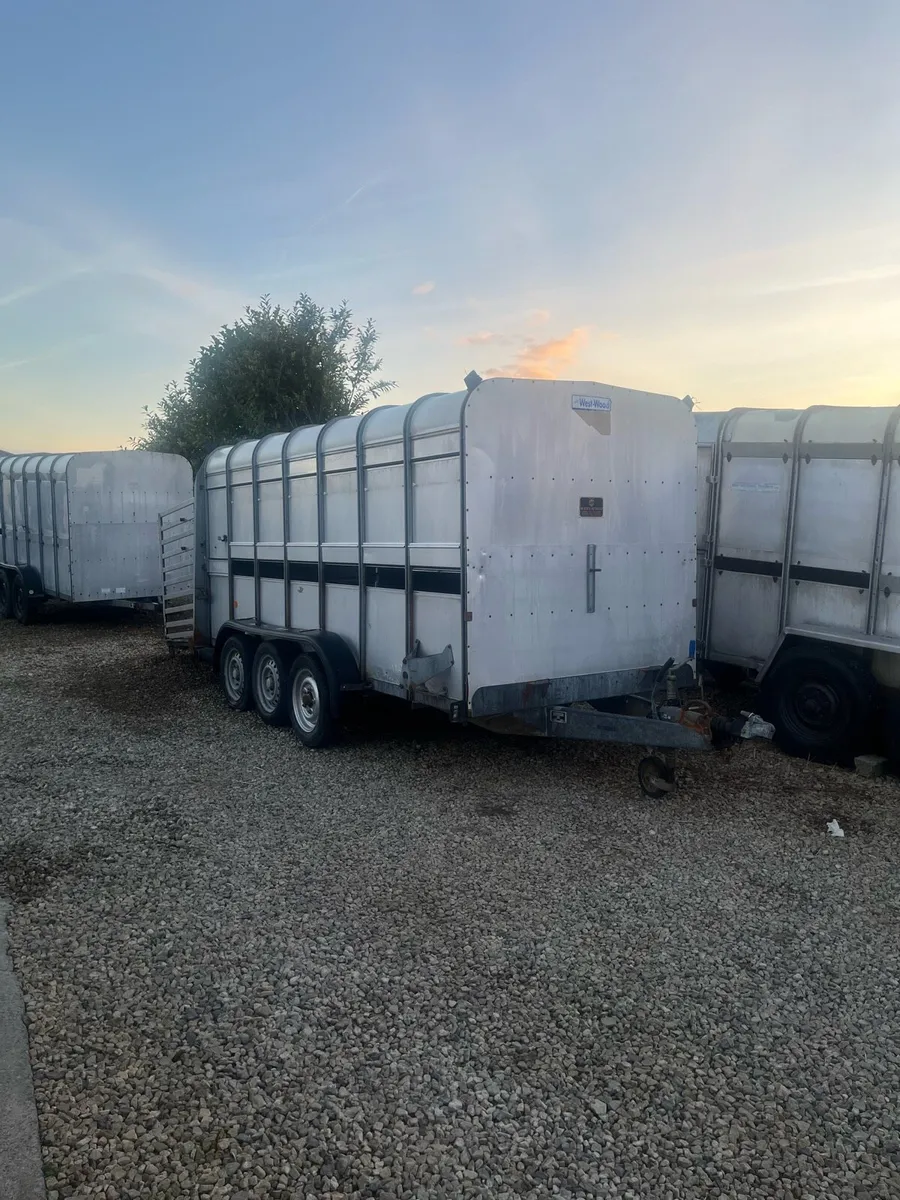 14ft ifor willaims cattle trailer with decks - Image 1