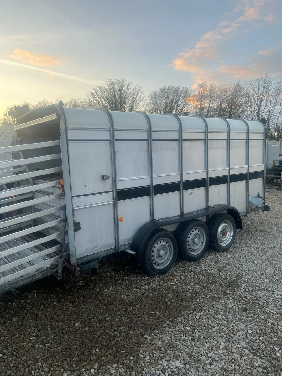 14ft ifor willaims cattle trailer with decks - Image 2