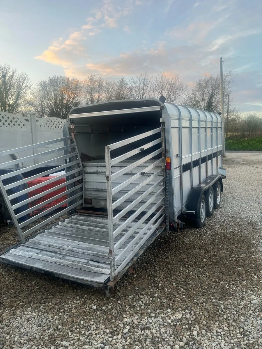 14ft ifor willaims cattle trailer with decks - Image 3
