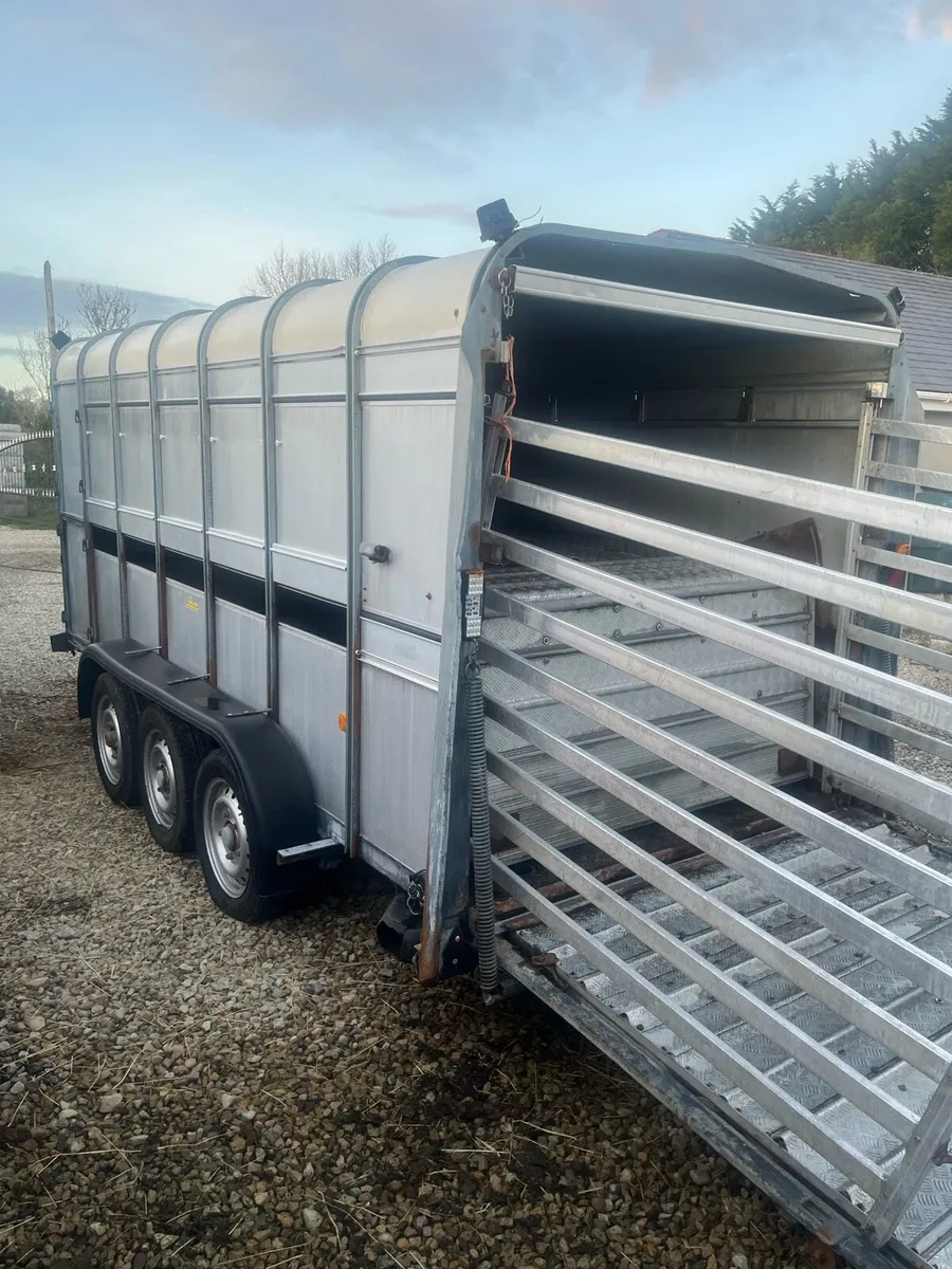 14ft ifor willaims cattle trailer with decks - Image 4