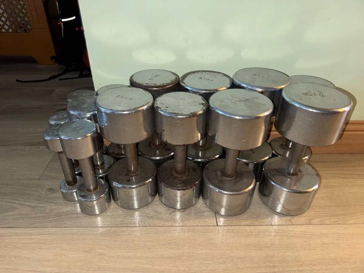 Taiwan Chrome Dumbbells - Image 1