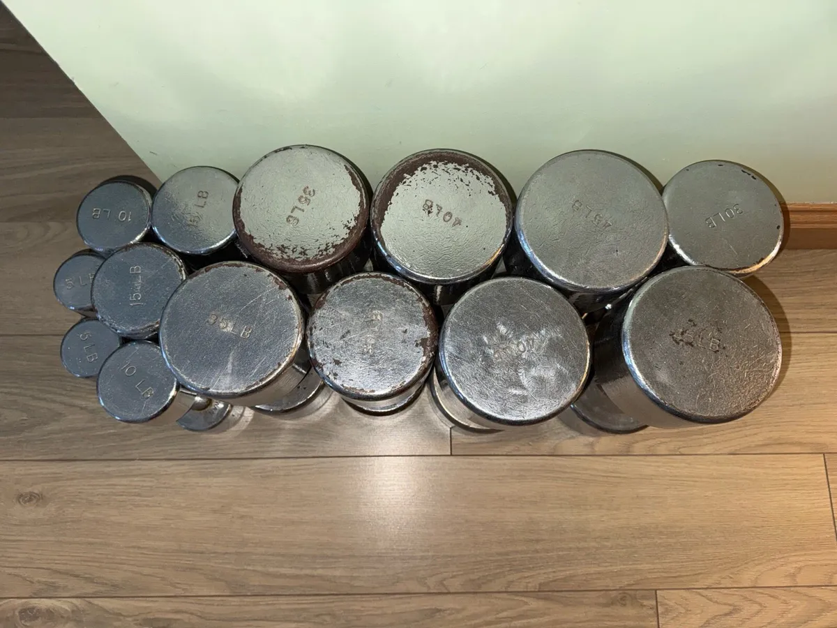 Taiwan Chrome Dumbbells - Image 3