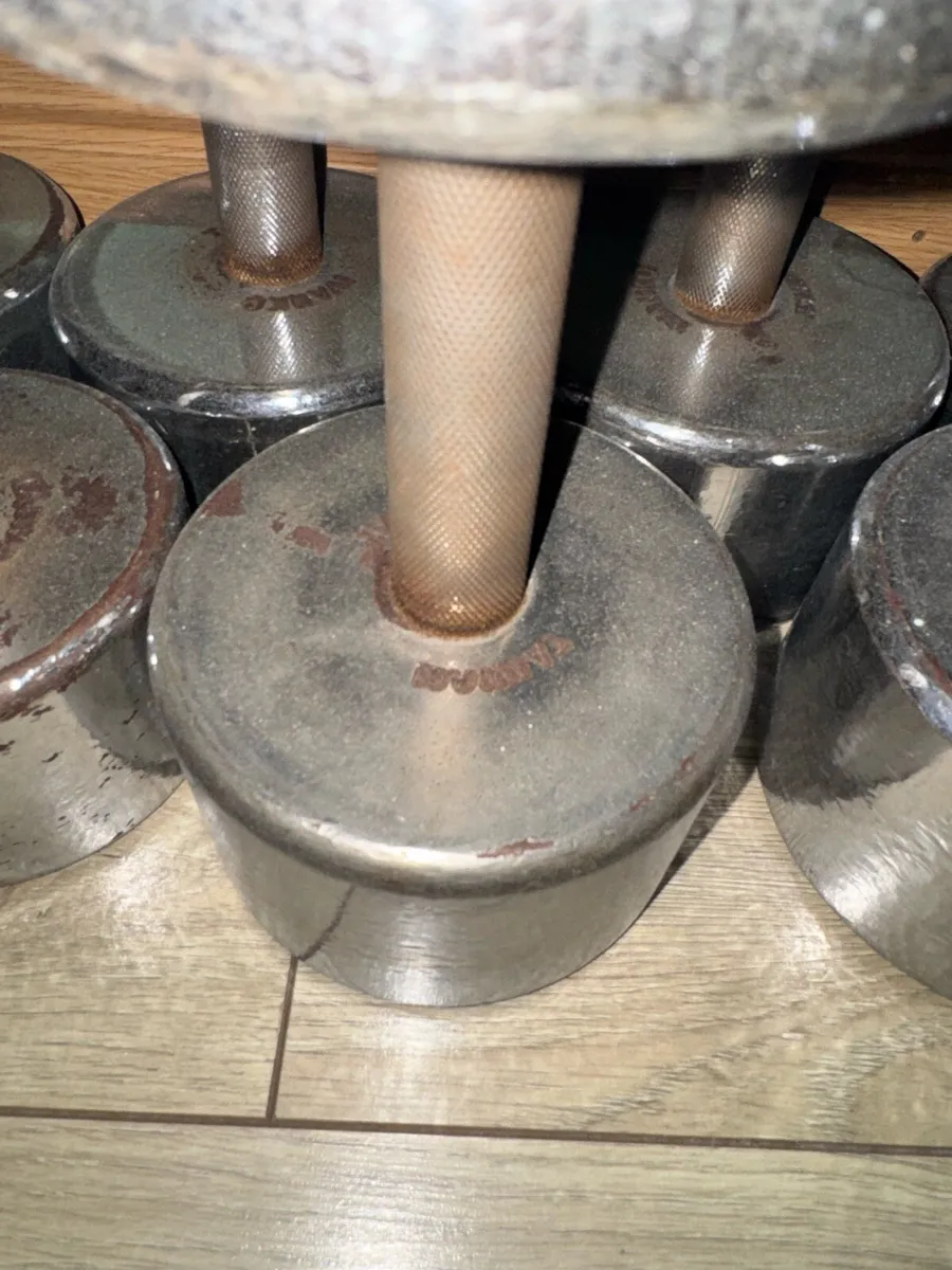 Taiwan Chrome Dumbbells - Image 4