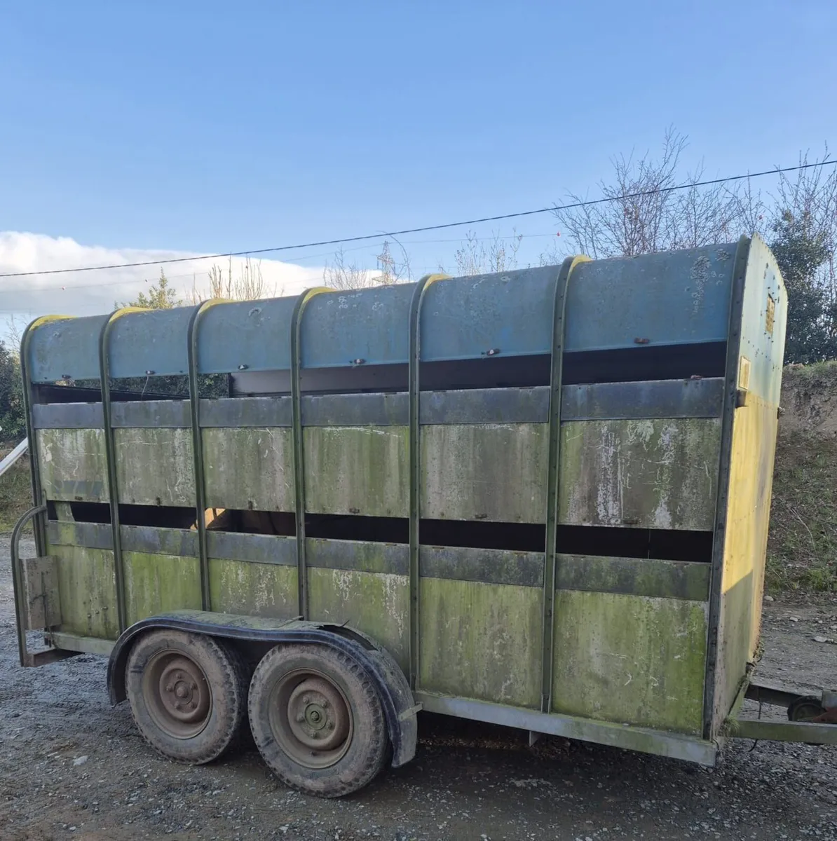Stockdrover 12 x 6 cattle/sheep trailer - Image 2
