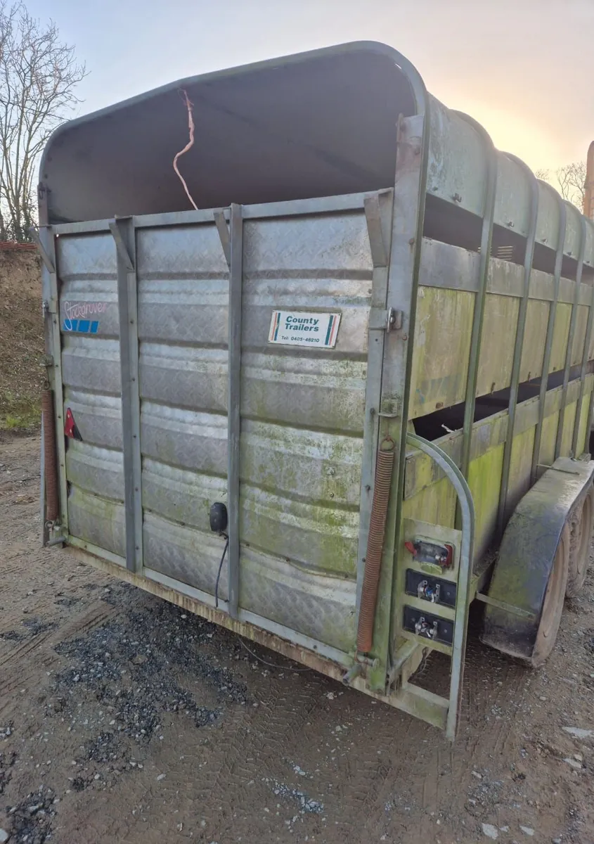 Stockdrover 12 x 6 cattle/sheep trailer - Image 4
