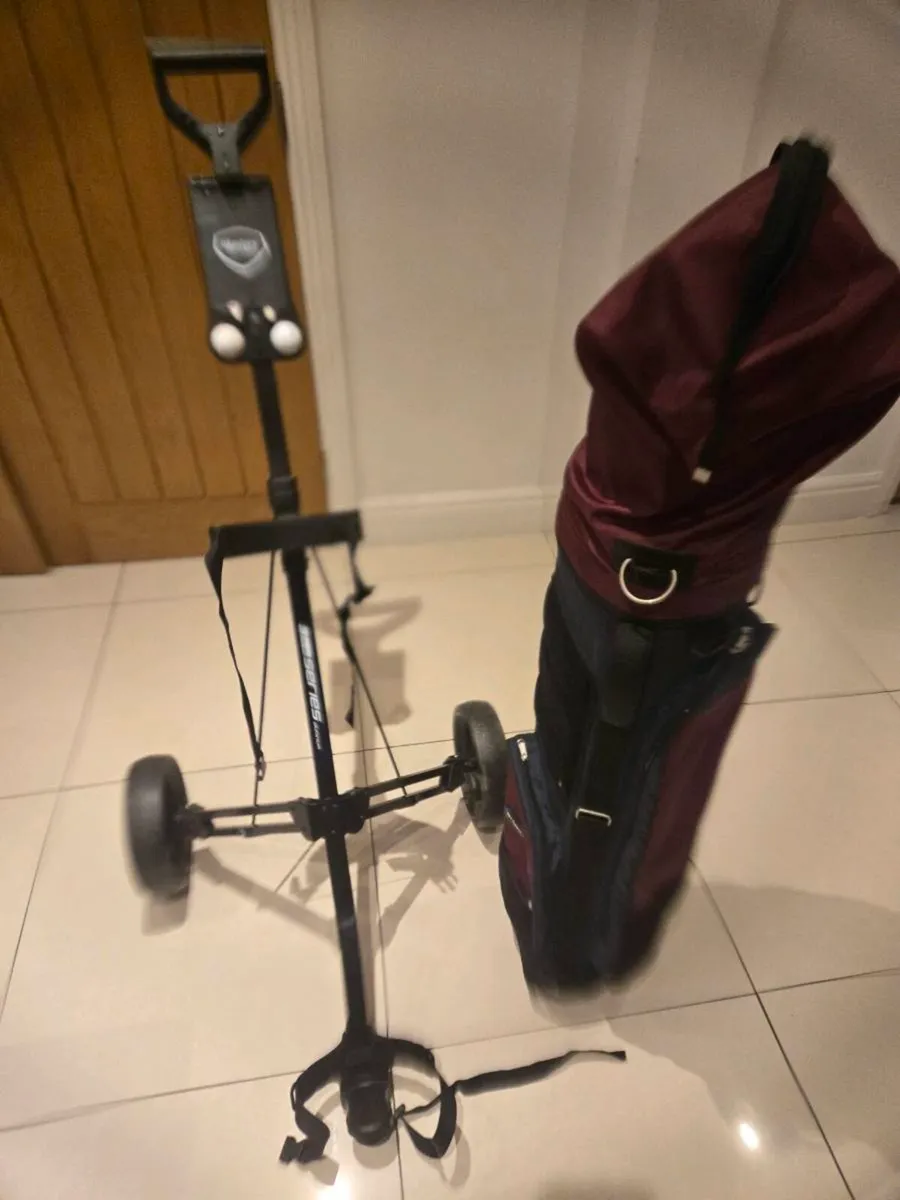 Golf clubs - Image 1