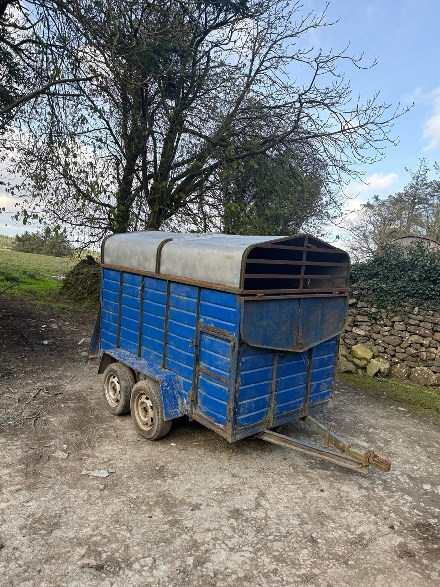 8x5 Double Axle Cattle Trailer - Image 4