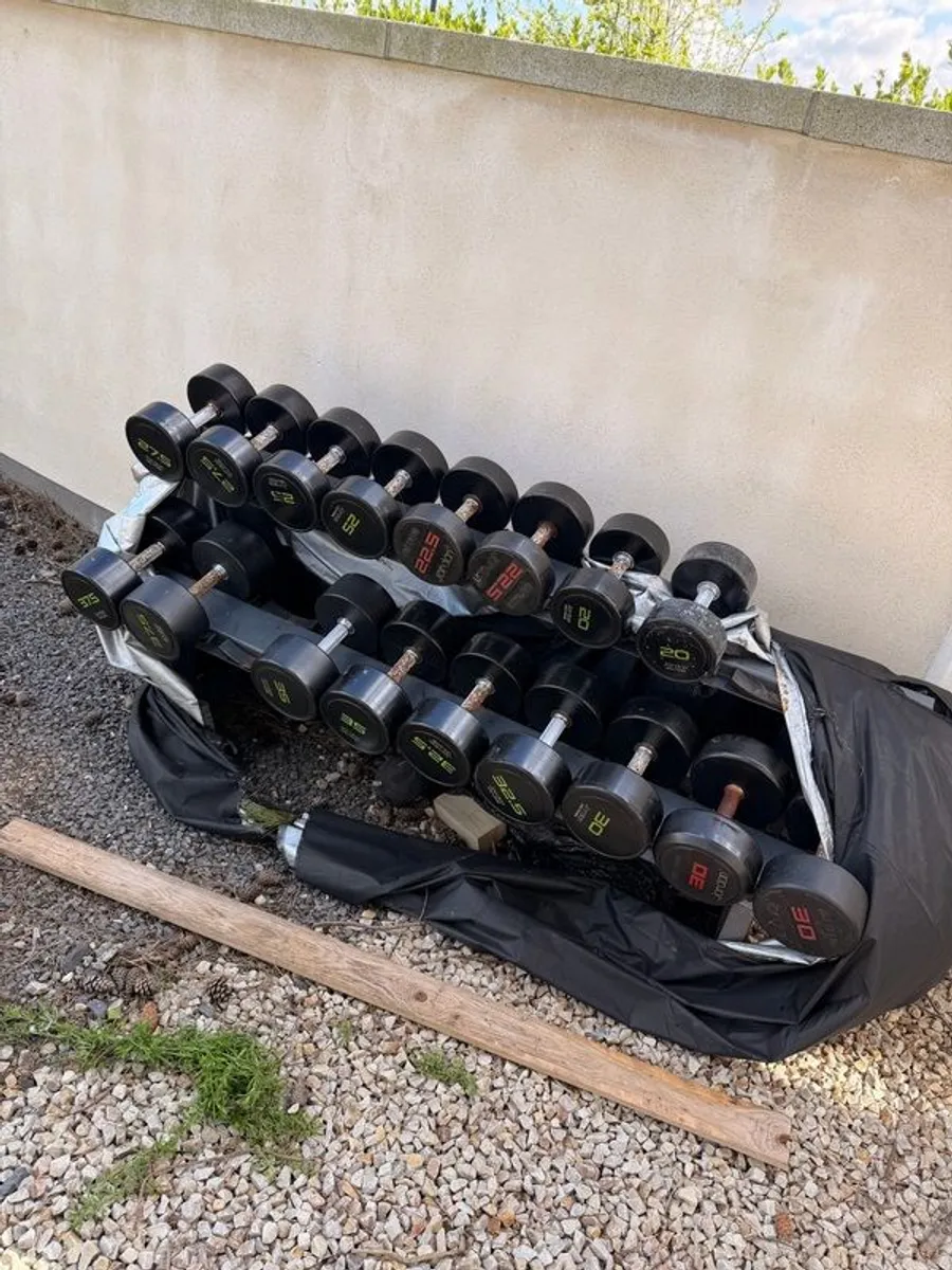 Jordan dumbbell set - Image 1