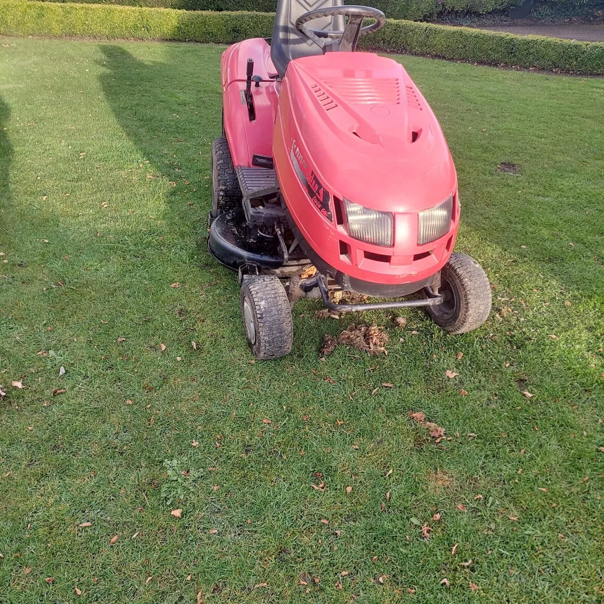 Castlegarden lawnmower - Image 2
