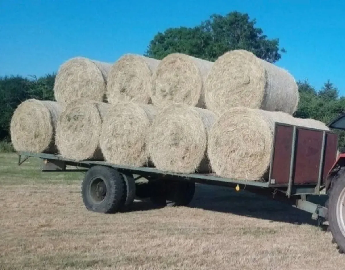 Hay - Top Quality Round Bales