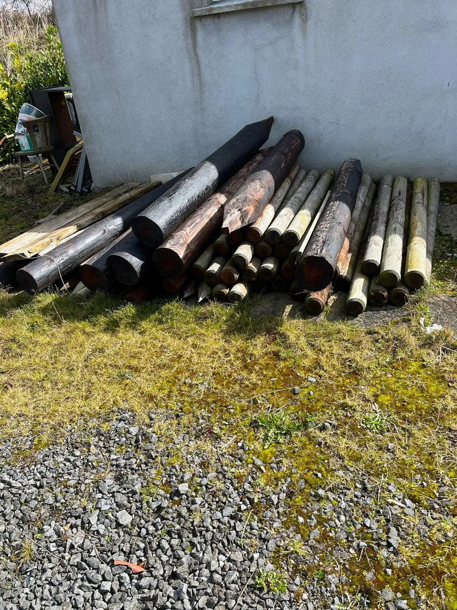 Fence posts - Image 1