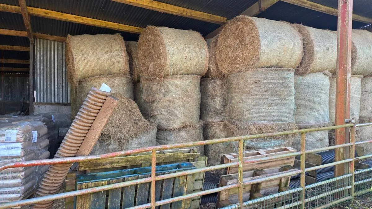 Organic hay - Image 2