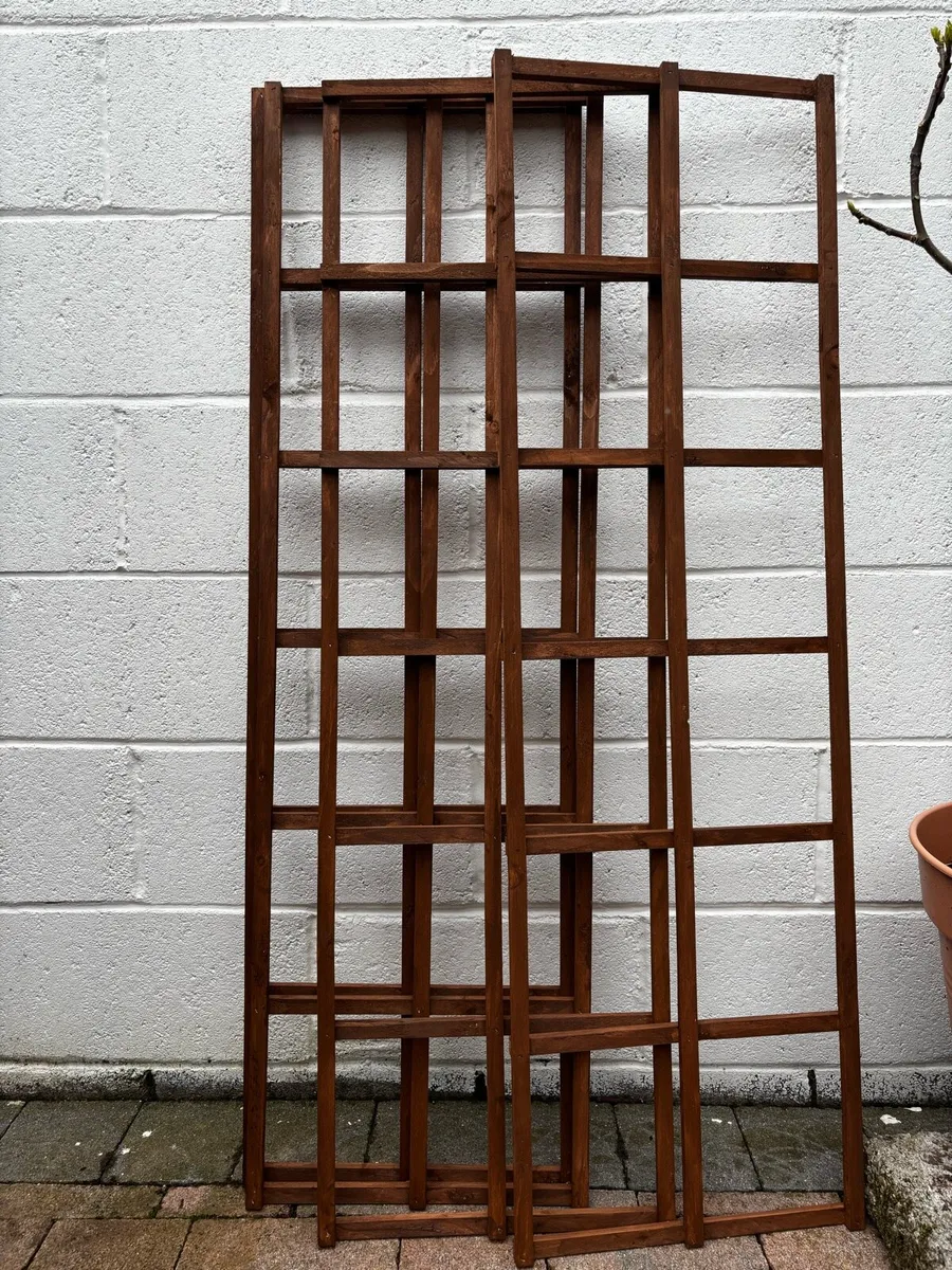 Garden trellis - Image 2