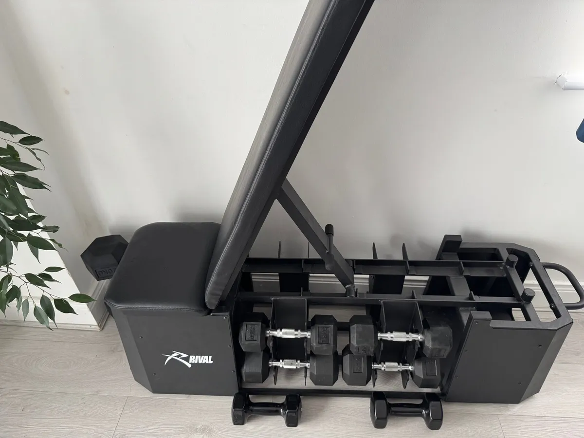 Multifunctional weight Bench - Rival + 20kg Hex - Image 2