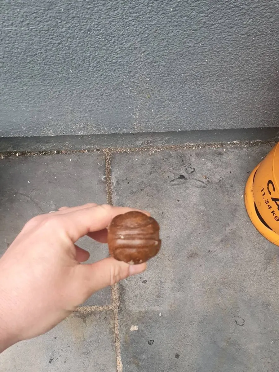 Walking sticks - Image 1