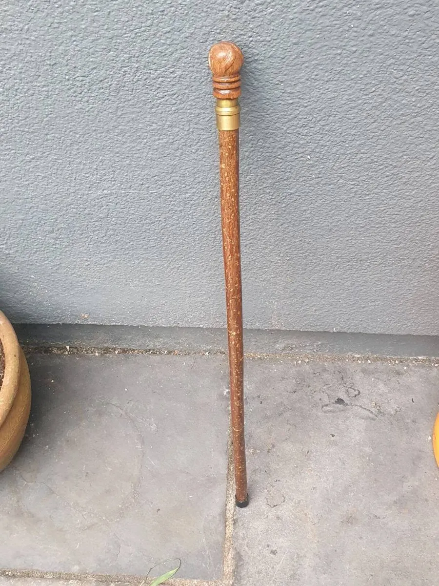 Walking sticks - Image 2