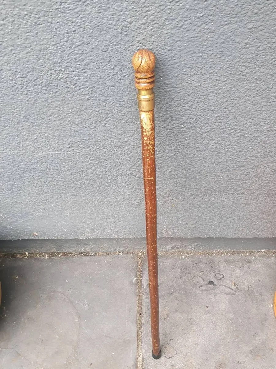 Walking sticks - Image 3