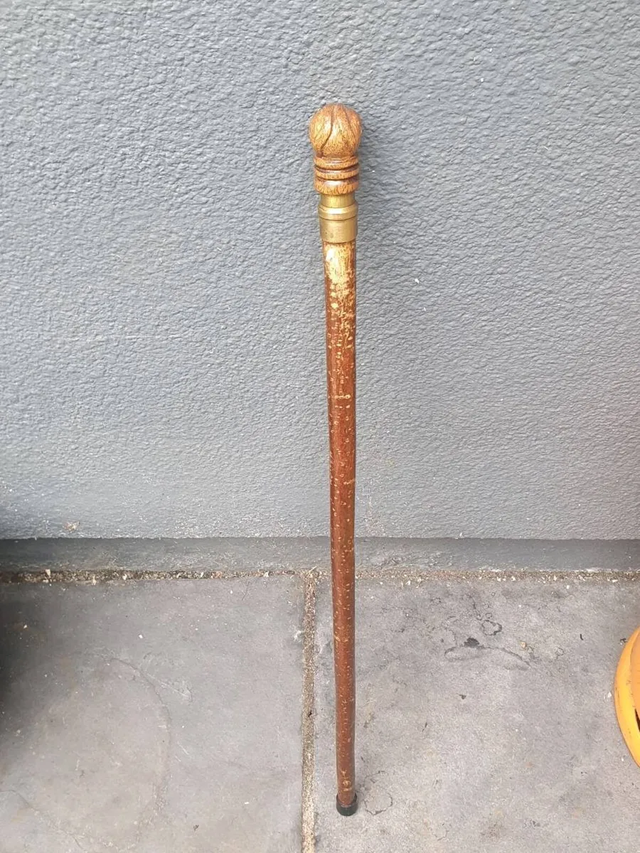 Walking sticks - Image 4