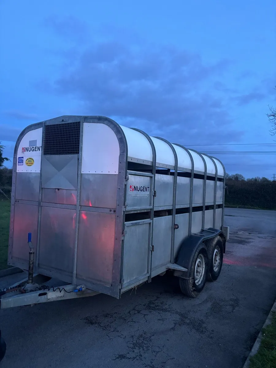 Nugent cattle trailer - Image 1