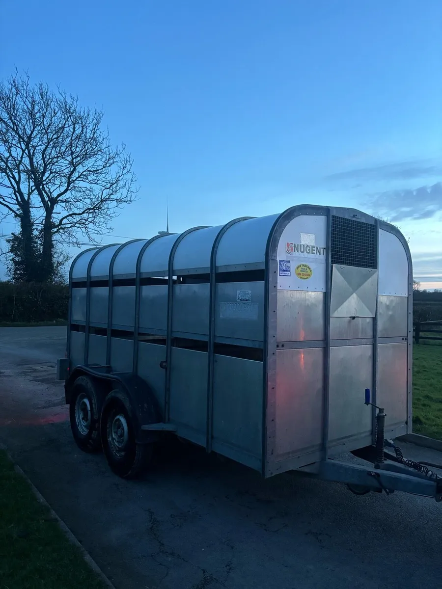 Nugent cattle trailer - Image 2