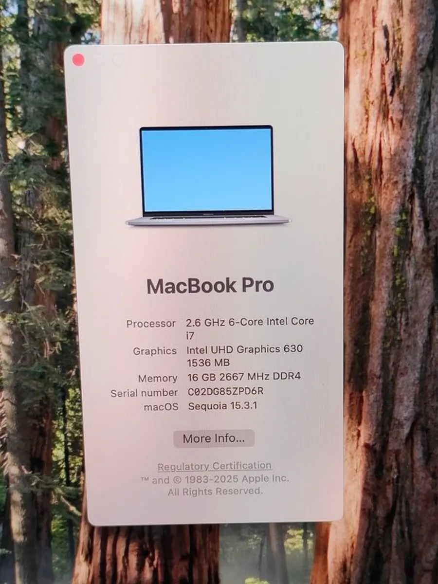 2019 Apple MacBook Pro 16" A2141 2.6GHz 6core i7 16GB 500GB Sequoia 15.3.1 (Battery Cycle: 645) - Image 3