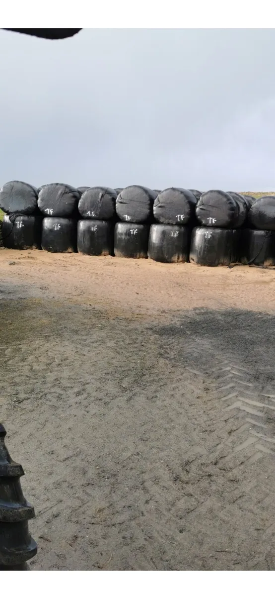 Silage bales - Image 1