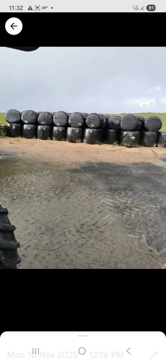 Silage bales - Image 2